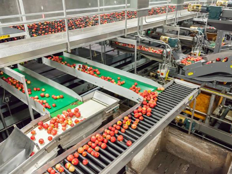 food-sc-fruit-processing